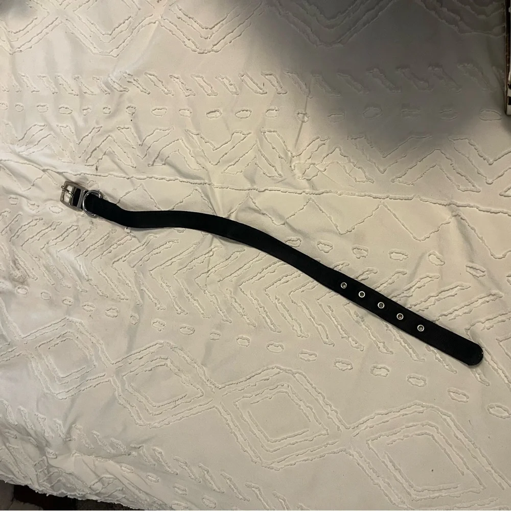 Black Dog Collar with Metal Hardware - 23 Inches Long